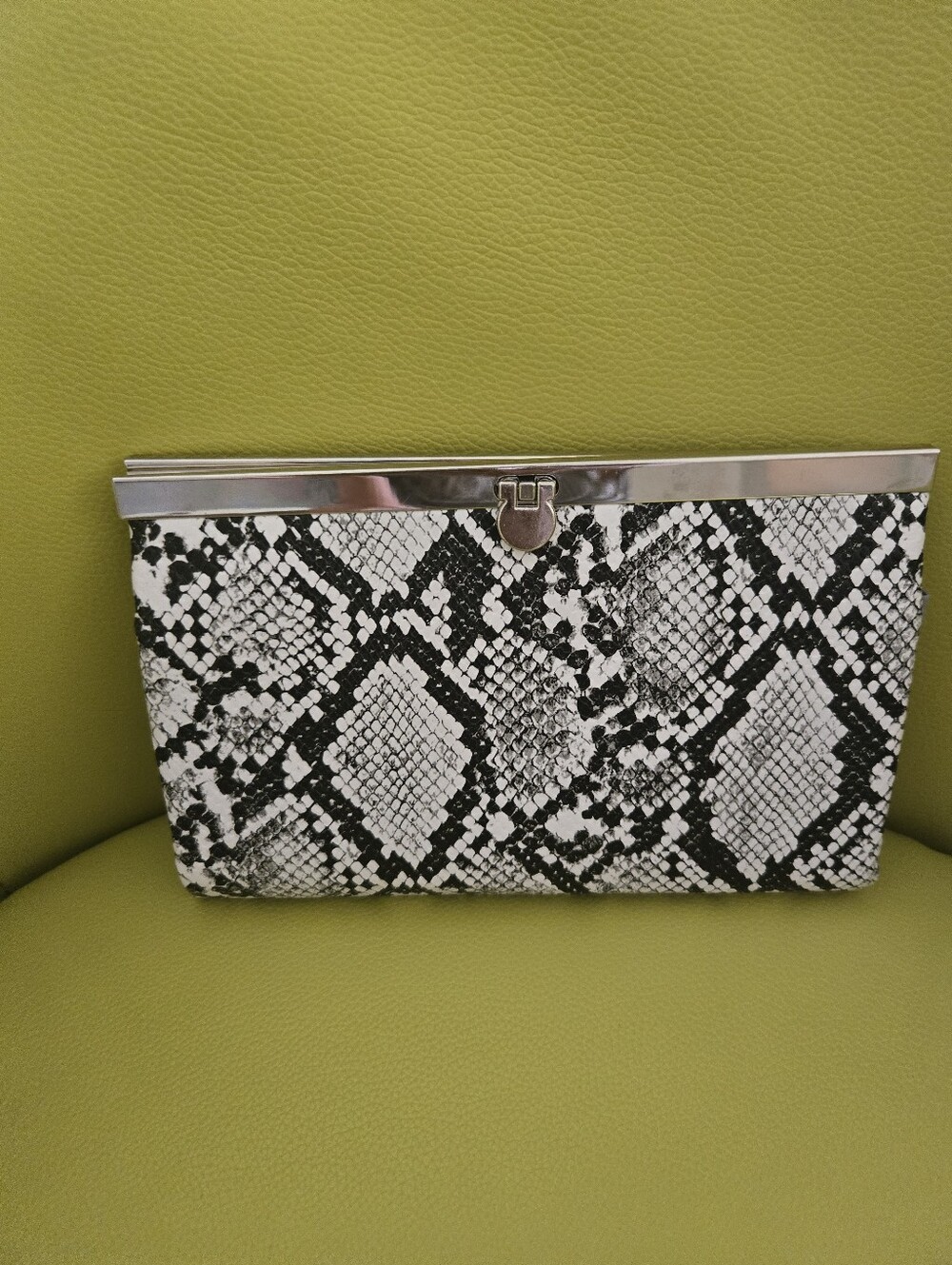 Black & White Snake Print Clutch with Silver Frame